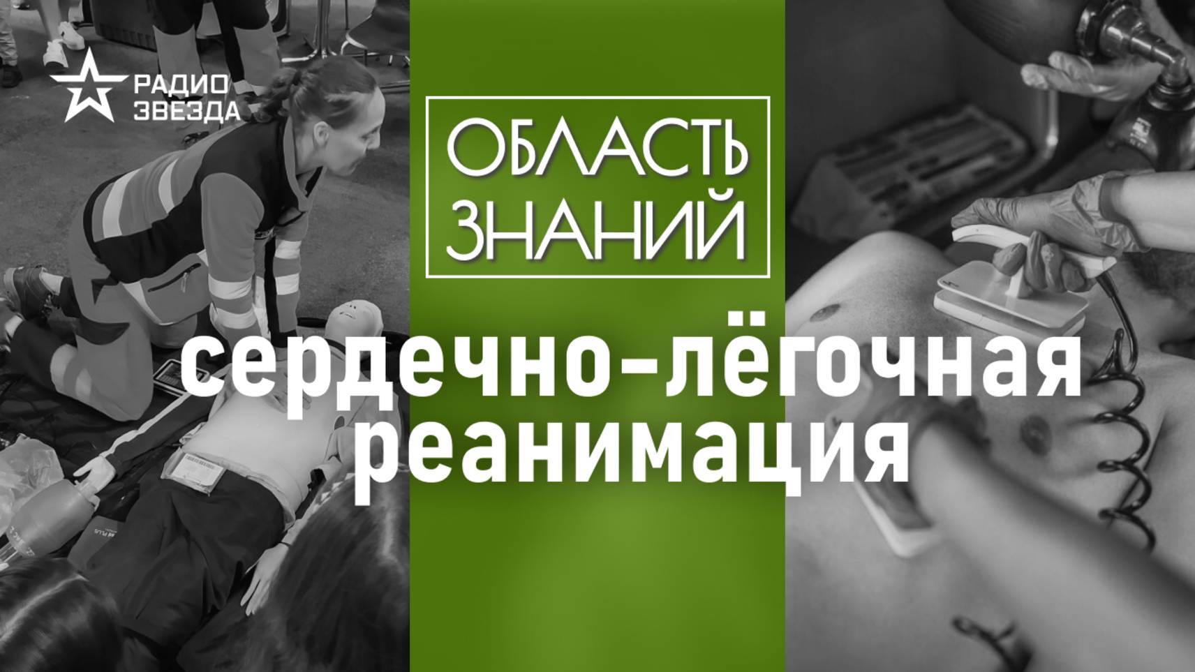 Как спасти человека до приезда врачей? Лекция врача Дмитрия Шелега смотреть онлайн