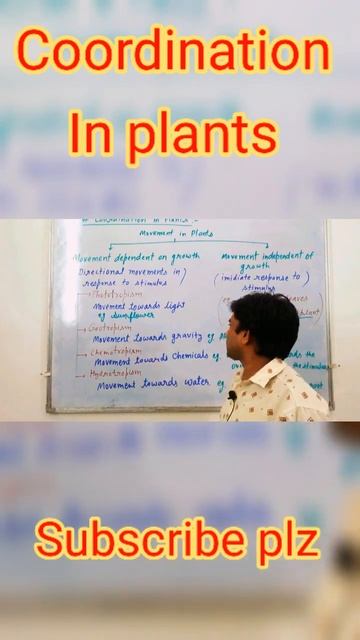 Coordination In Plants #shorts