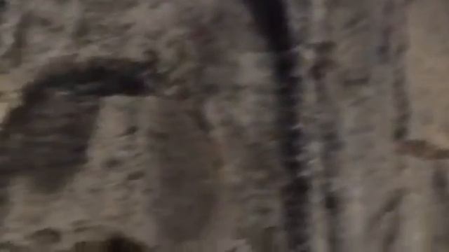 Гарни Гегард смотреть онлайн
