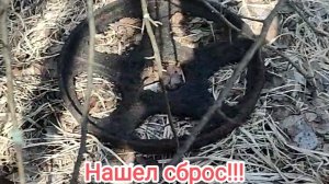 Нашел сброс!!! Цены на приемке!!! Сдача металла!!!