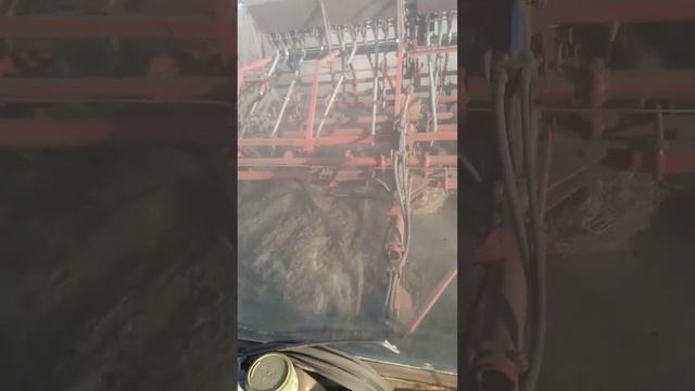 Прямой посев озимой пшеницы самодельной анкерной сеялкой. смотреть онлайн