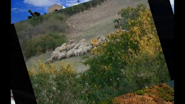 "Това правете за Мой спомен" (Лк 22, 19) смотреть онлайн