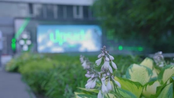 Upside Development. Открытие выставки Природа предмета