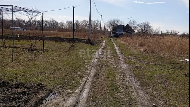 11899656 смотреть онлайн