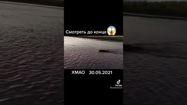 Медведь поывет рядом с лодкой смотреть онлайн