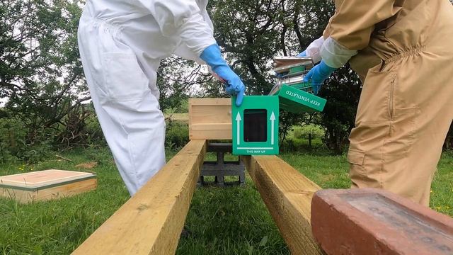 Keeping Buckfast Honey Bees смотреть онлайн