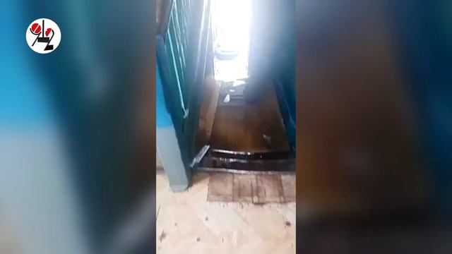 В подъезде воды - почти по колено смотреть онлайн