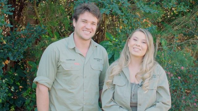 More baby cuteness with Bindi, Chandler and koala joeys | Irwin Family Adventures смотреть онлайн