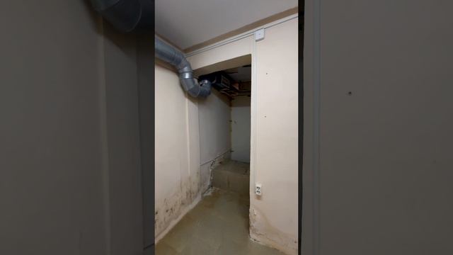 Коммерция молодежная 6