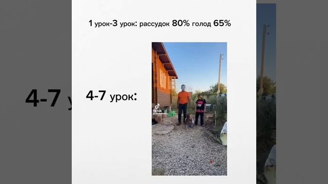 1000083408.mp4 смотреть онлайн