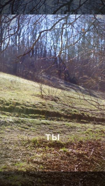Ты