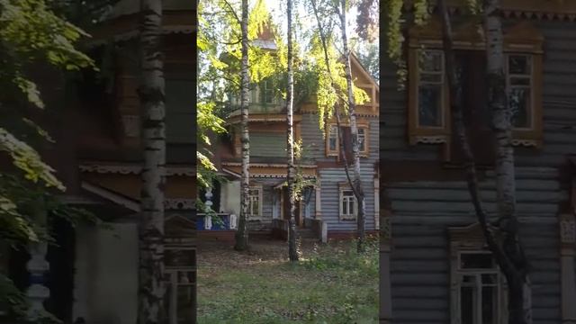 Деревянные терема под Пензой (2021.08.07) смотреть онлайн