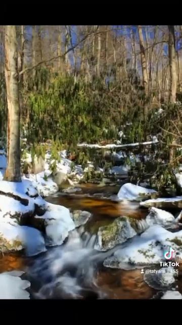 Весна в лесу смотреть онлайн