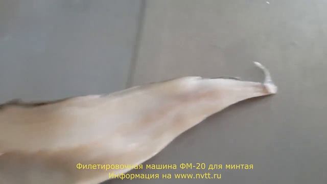 Филетировочная машина для минтая ФМ-20 смотреть онлайн