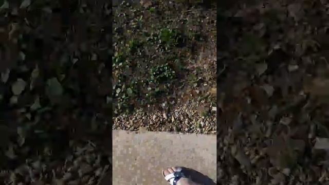 Часть 1 нам скушно. смотреть онлайн