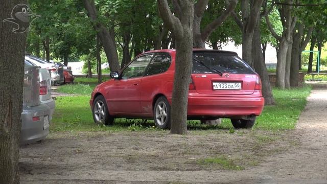 Рейд по незаконной парковке на зеленых насаждениях в Черноголовке смотреть онлайн