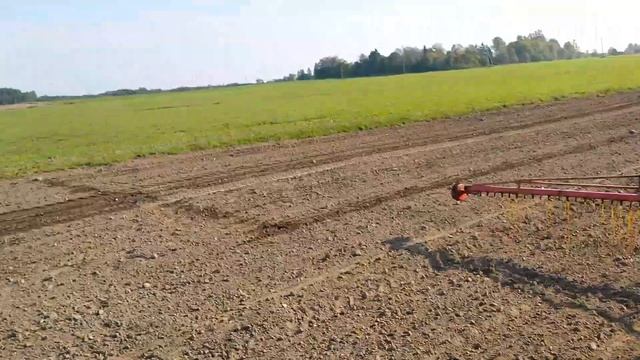 Slurly смотреть онлайн