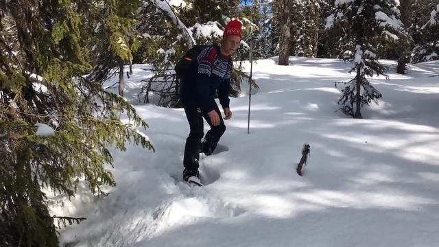 Ручная ловля глухаря (неудачная) смотреть онлайн