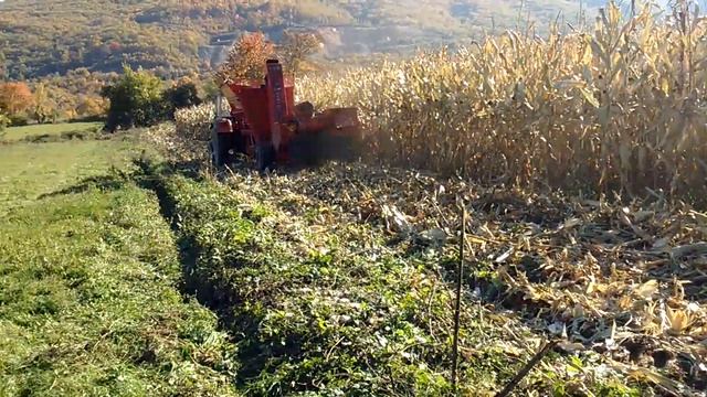Sobiranje pcenka vrutok gostivar смотреть онлайн