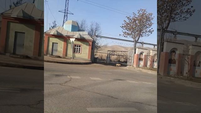 семен завод.деволи дарозтарини суратдор смотреть онлайн
