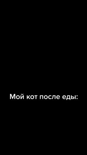 🤣 МОЙ КОТ ДО ЕДЫ И ПОСЛЕ 🤣 #приколы #shorts смотреть онлайн