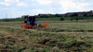 МТЗ 82 сгребает траву в валки на болоте
