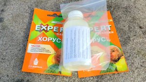 Вторая обработка плодовых деревьев и кустарников