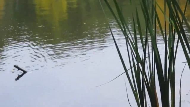 Возврашение рыбака смотреть онлайн
