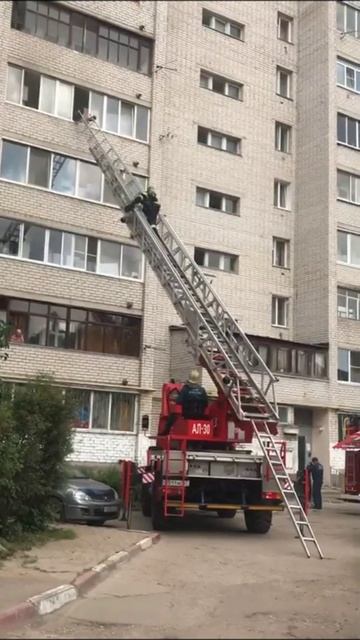 Спасение котов в горящей квартире в Смоленске смотреть онлайн