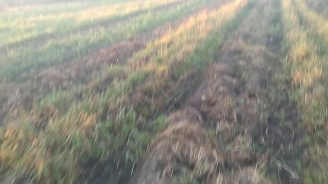 fortschritt е686 смотреть онлайн