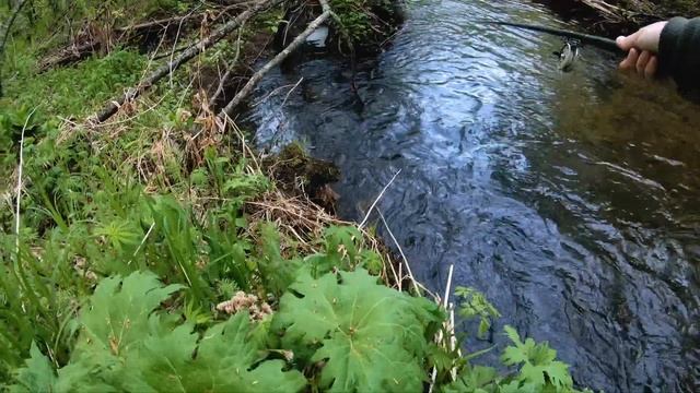 Порыбачил немножко... смотреть онлайн