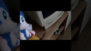 The Sonic in Real life 1-й уровень