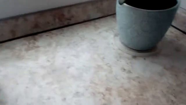 Заказ по 3 каталогу смотреть онлайн