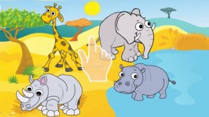 Живодные для малышей - Учим животных - Развивающие мультики для детей