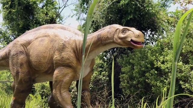 Леон в парке динозавров ( 2 года 5 месяцев ) смотреть онлайн