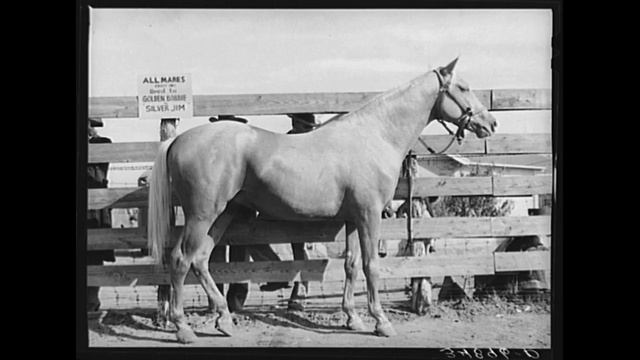 American Folk Music (Southern): Granny, Will Your Dog Bite смотреть онлайн
