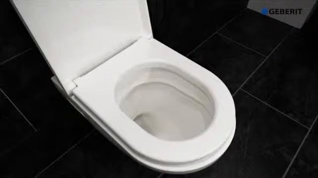 Geberit Sigma 80: эксплуатация смотреть онлайн