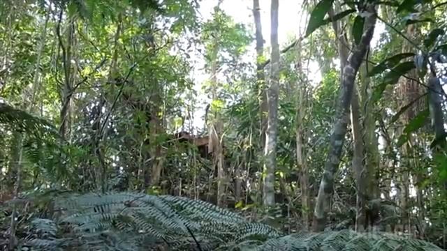 Свежие фейлы / Fresh feils смотреть онлайн