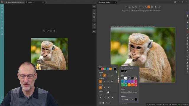 Excalidraw-Obsidian 2.0.15: Image Cropping, Masking And Metadata