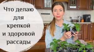 Чтобы рассада не вытягивалась, делай так! Показываю свои результаты