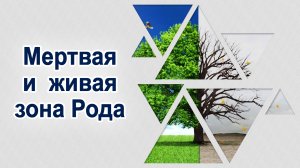 В какой зоне Рода ты? Мария Шлоен