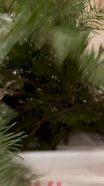 Новогодняя композиция с лапником из пихты #новыйгод #diy #творчество #украшение #декор