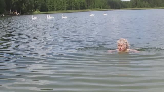 Дача Ольга Лебеди 2016. смотреть онлайн
