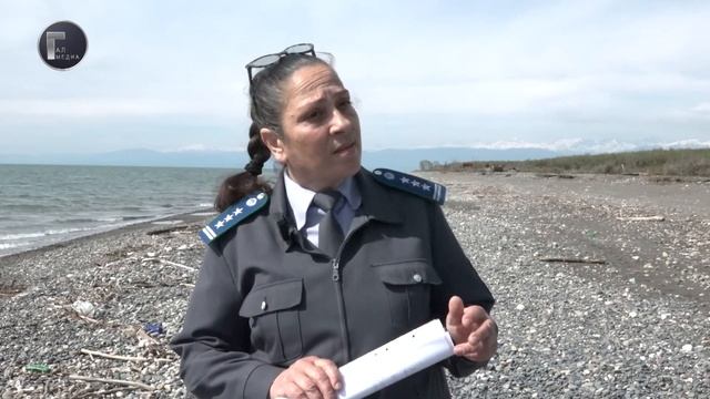 В Галском районе проводится плановый отстрел диких животных - шакалов и волков. смотреть онлайн