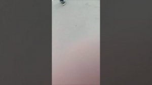 идём в школу