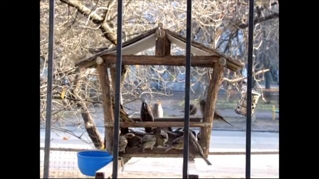 Приём пищи. смотреть онлайн