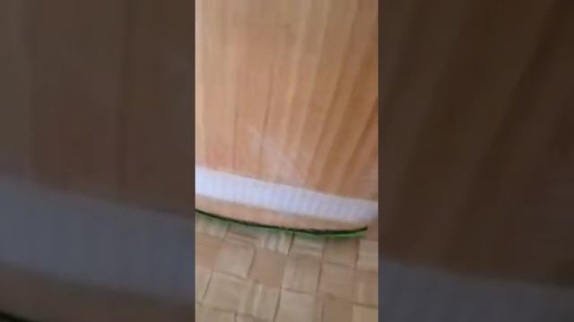 Ca15000 plus cricket bat смотреть онлайн