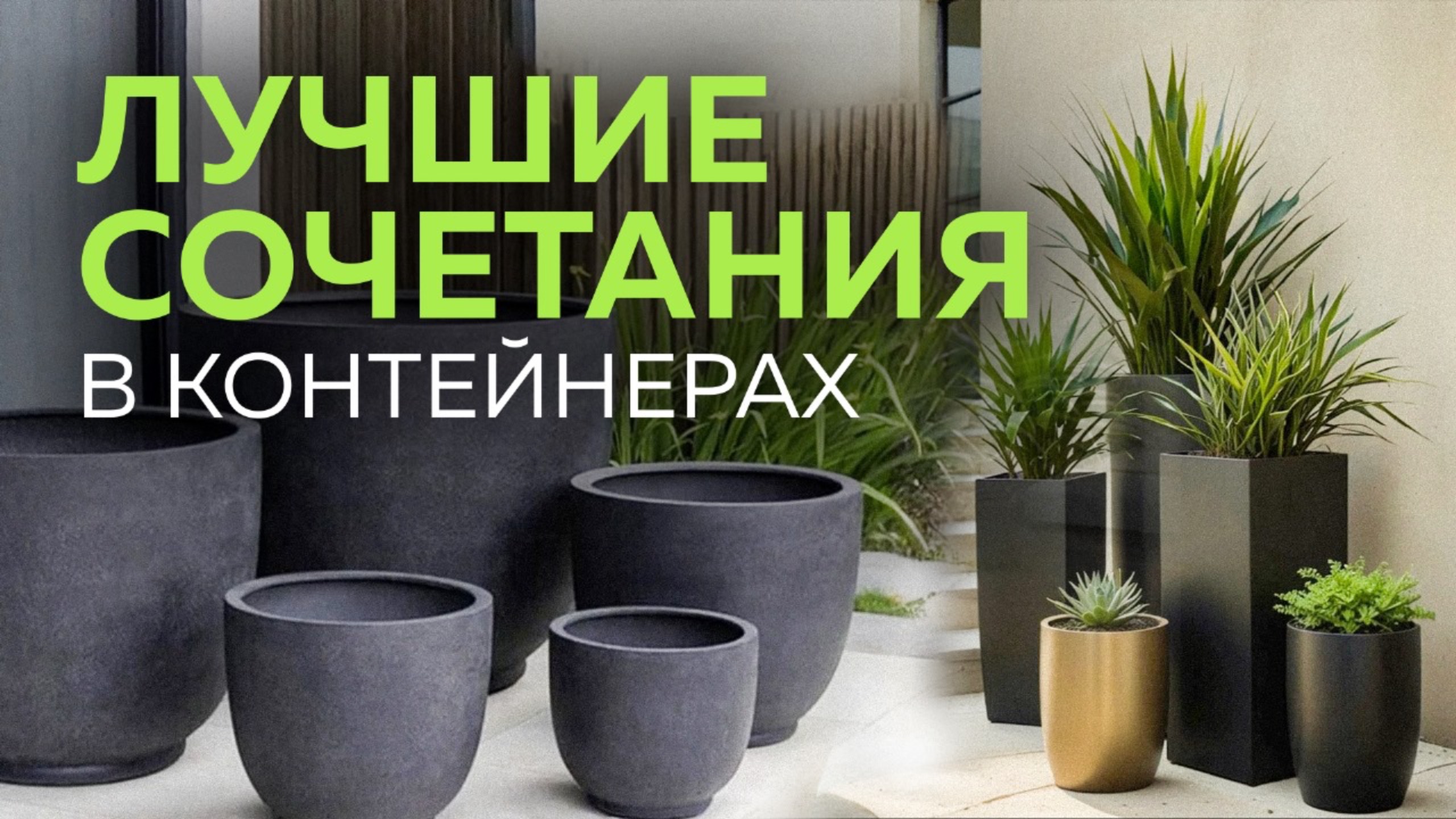 Любой Сад Станет Красивым Быстро Если Использовать Этот Прием! смотреть онлайн