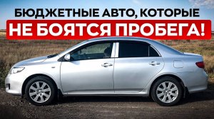 Самые доступные авто, которые можно покупать с пробегом 300+