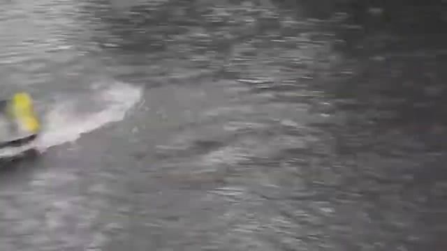 Alligator (street boat) смотреть онлайн